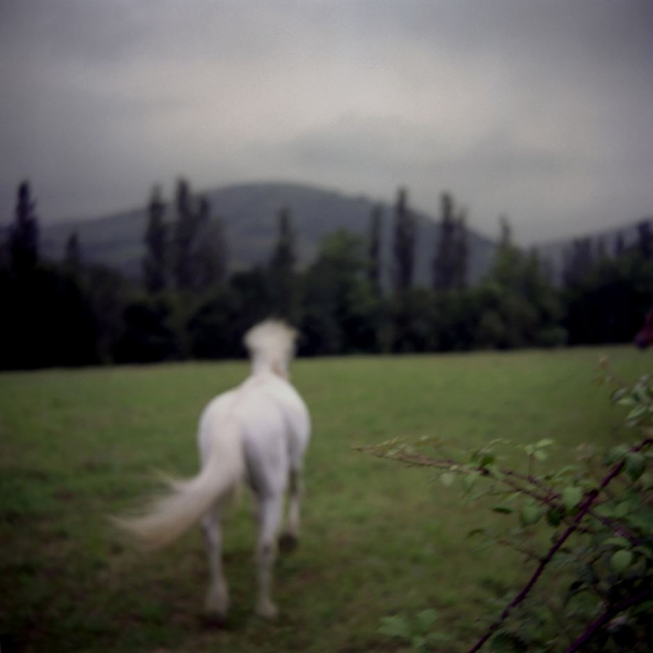 France, Musculdy, 2006 - From the book "Le gout des mandarines".