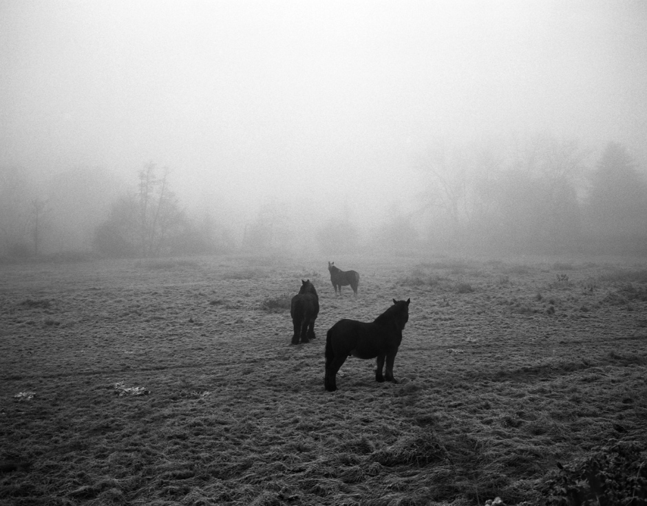 France, Le Blanc, 2013From the series "Le nom qui efface la couleur".France, Le Blanc, 2013Issu de la sÈrie "Le nom qui efface la couleur".Israel AriÒo / Agence VU