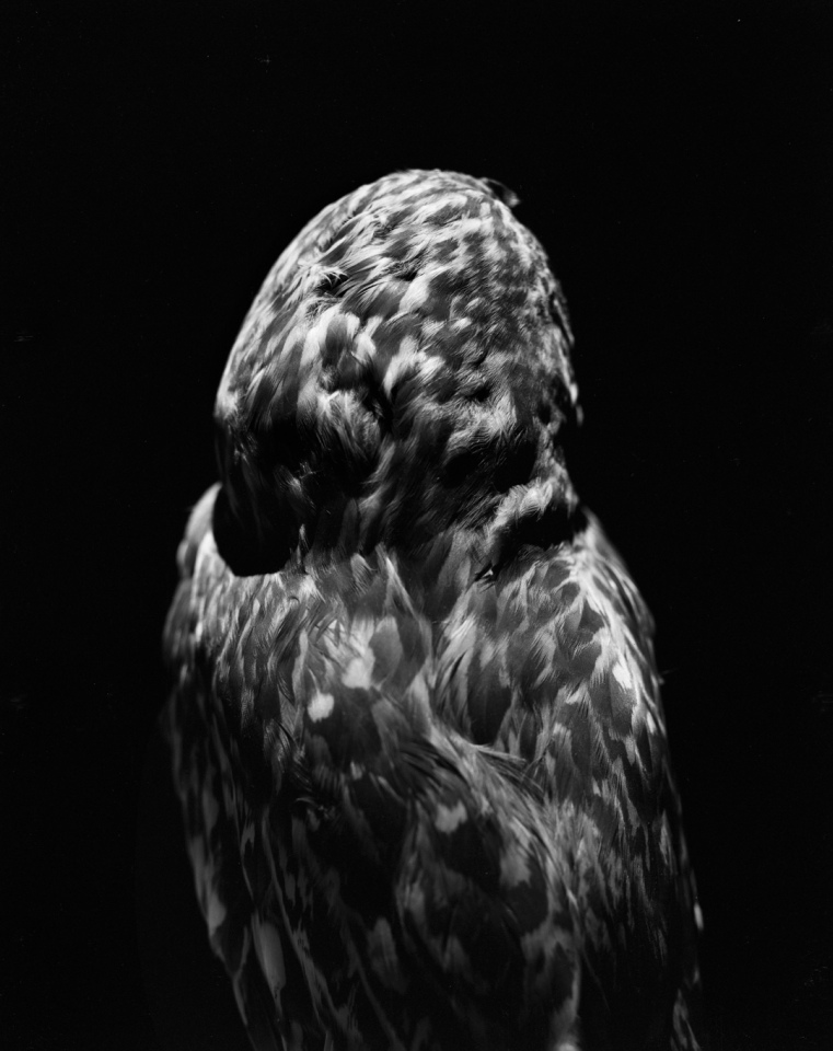 France, Le Blanc, 2013From the series "Le nom qui efface la couleur".France, Le Blanc, 2013Issu de la sÈrie "Le nom qui efface la couleur".Israel AriÒo / Agence VU