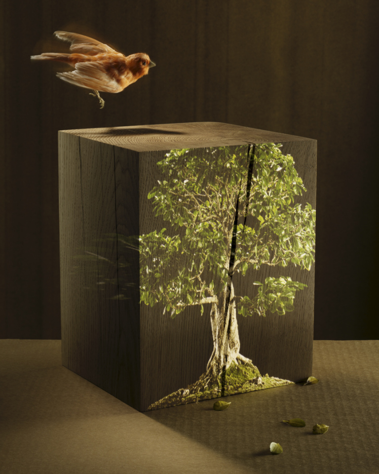 France, 03 December 2014True-Dream 2.France, 03 décembre 2014Rêver-vrai 2.Quentin Bertoux / Agence VU