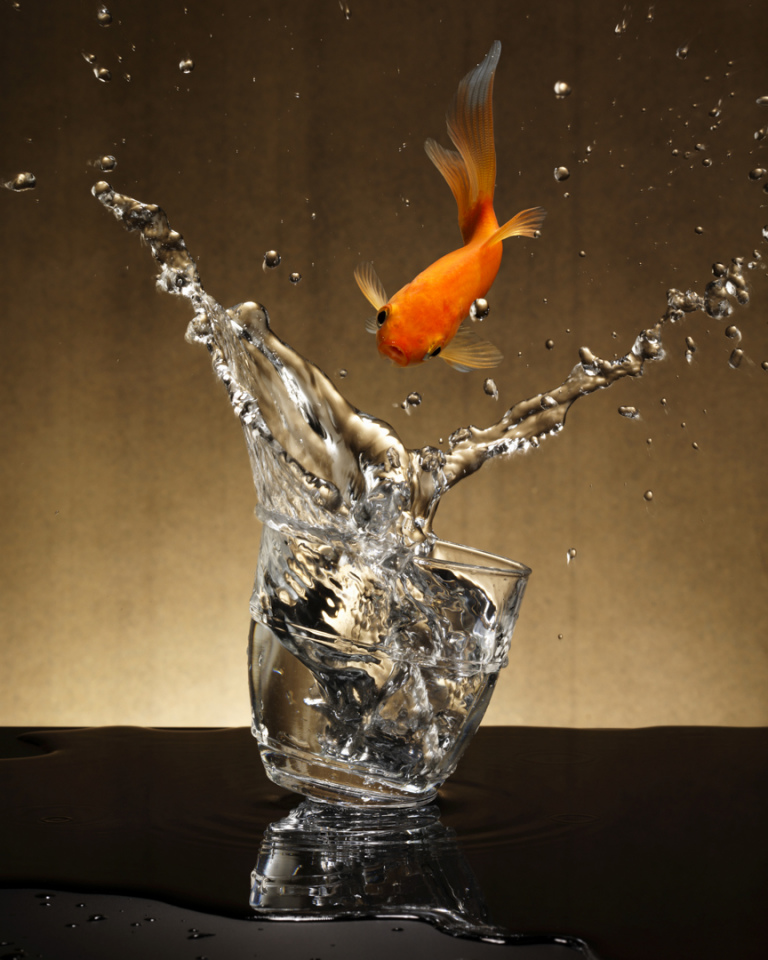 France, 07 January 2015Extasie.France, 07 janvier 2015Extasie.Quentin Bertoux / Agence VU