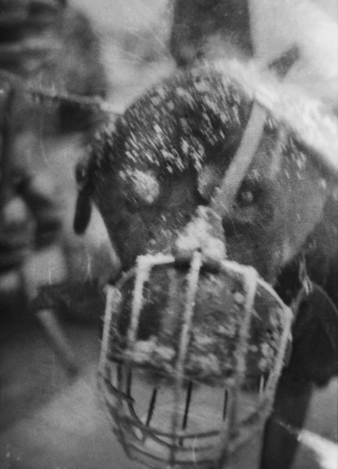 Poland, Lodz, 2010From the series Hollow.Pologne, Lodz, 2010Issue de la série Hollow.Martin Bogren / Agence VU