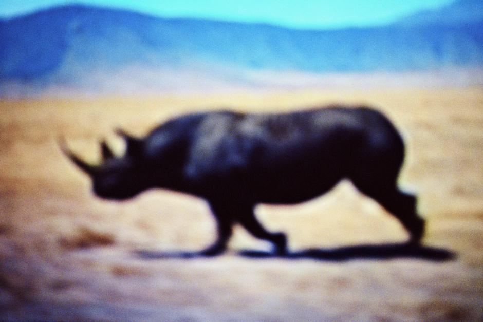 2015From the series "Supernature". 2015Issue de la sÈrie "Supernature". FranÁois Fontaine / Agence VU