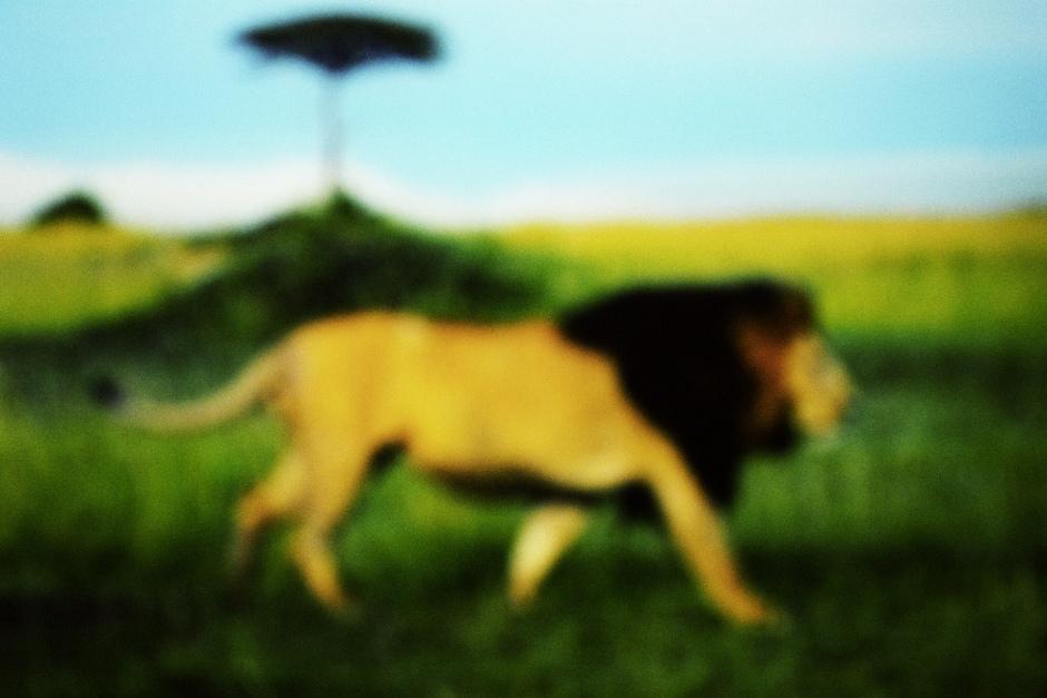 2015From the series "Supernature". 2015Issue de la sÈrie "Supernature". FranÁois Fontaine / Agence VU