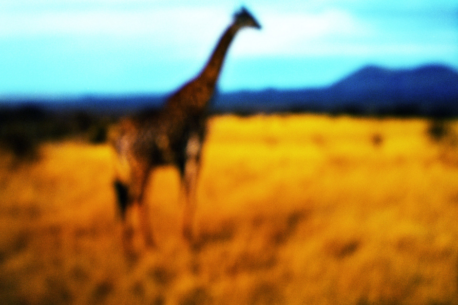 2015From the series "Supernature". 2015Issue de la sÈrie "Supernature". FranÁois Fontaine / Agence VU