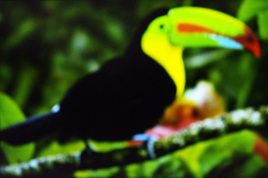 2015From the series "Supernature". 2015Issue de la sÈrie "Supernature". FranÁois Fontaine / Agence VU