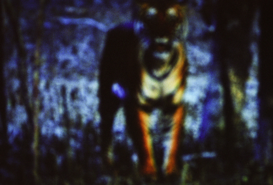 2015From the series "Supernature". 2015Issue de la sÈrie "Supernature". FranÁois Fontaine / Agence VU