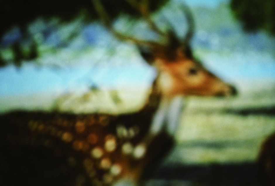 2015From the series "Supernature". 2015Issue de la sÈrie "Supernature". FranÁois Fontaine / Agence VU