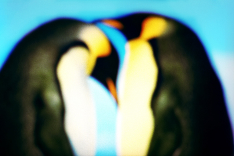 2015From the series "Supernature". 2015Issue de la sÈrie "Supernature". FranÁois Fontaine / Agence VU