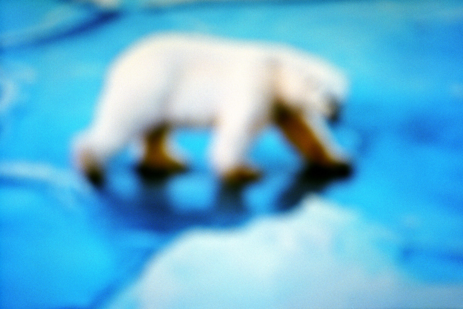 2015From the series "Supernature". 2015Issue de la sÈrie "Supernature". FranÁois Fontaine / Agence VU