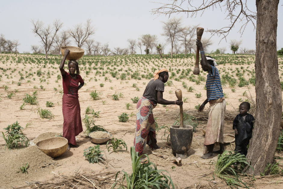 Niger, Zinder, June 24th 2016On the road of Yahouri, near the village of Makera, women are working in their fields.Niger, Zinder, 24 juin 2016Sur la route de Yahouri, près du village de Makera, des femmes travaillent dans leurs champs.Michaël Zumstein / Agence VU