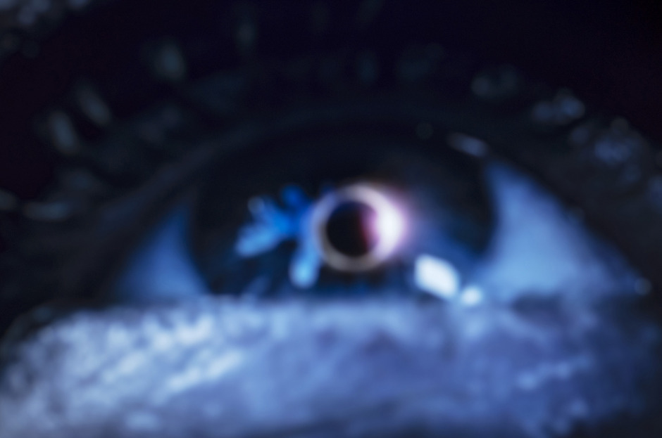 2016From the series "Cosmos".2016Issue de la sÈrie "Cosmos".FranÁois Fontaine / Agence VU