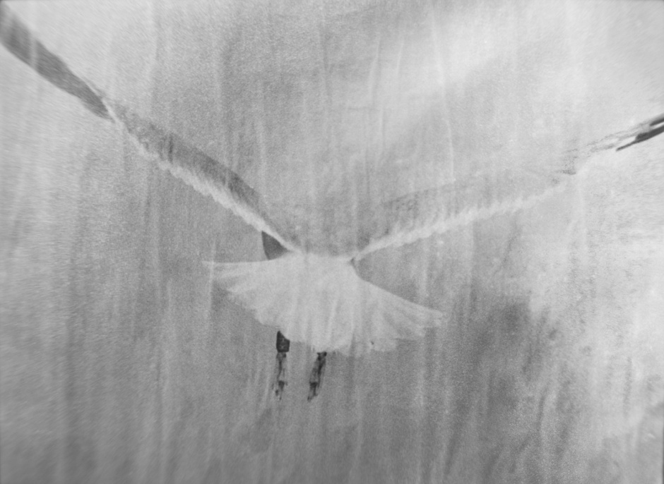 Italy, 2013-2015From the series "Italia".Italie, 2013-2015Issue de la sÈrie "Italia".Martin Bogren / Agence VU