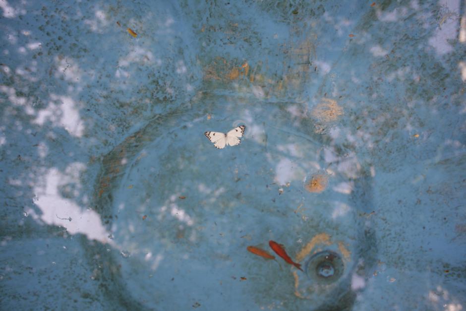 Iran, Isfahan, August 15th 2016 - Summer time.