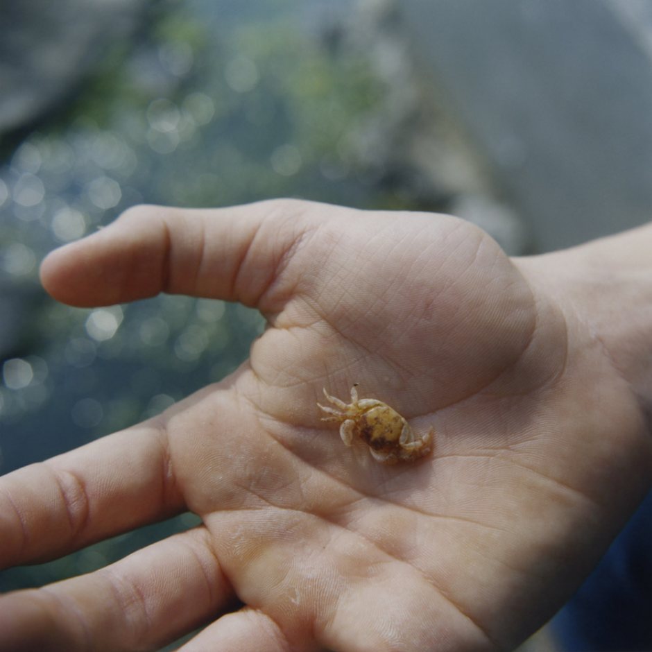 Japan, Enoshima, 2014 - From the series "Clément (sous un même ciel)".