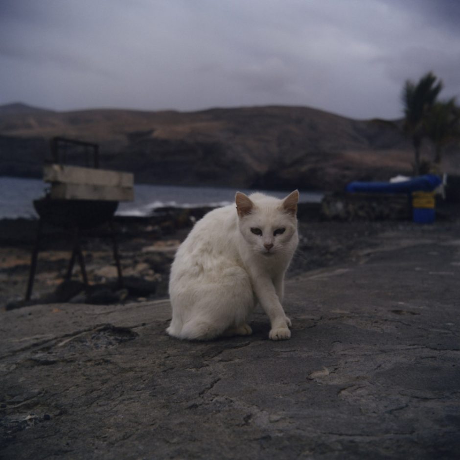 Spain, Lanzarotte, 2018 - From the series "Clément (sous un même ciel)".