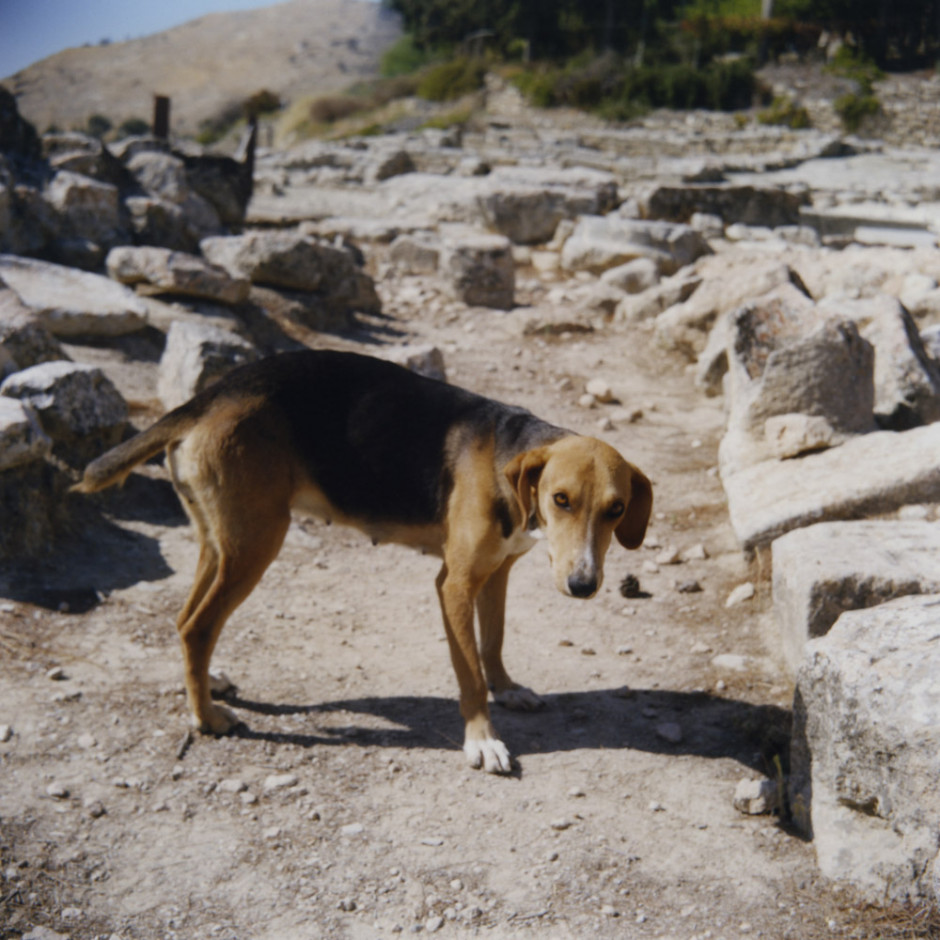 Greece, Phaistos, 2013 - From the series "Clément (sous un même ciel)".