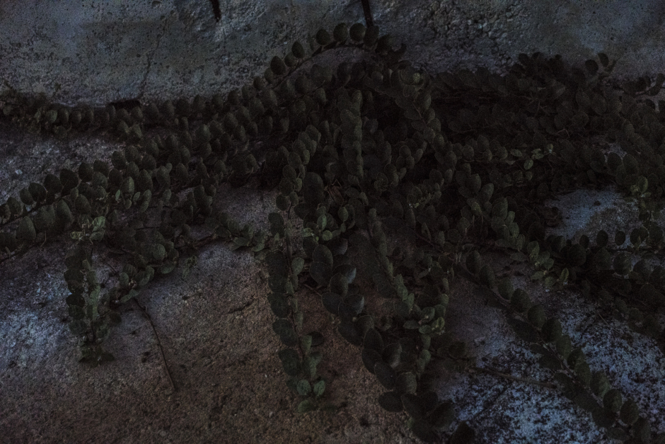 Italy, Gibellina (Trapani), 12 September 2017From the series "Il Cretto Grande".Il Cretto di Burri (Crack of Gibellina).Italie, Gibellina (Trapani), 12 septembre 2017Issue de la sÈrie "Il Cretto Grande".Le Cretto de Burri (ou Cretto de Gibellina).Massimo Siragusa / Agence VU