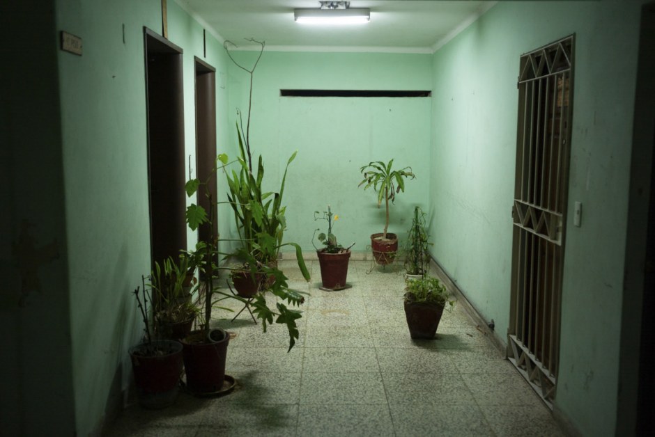 Cuba, Havana, January 11, 2019 - From the series “Sierra Maestra“. Green plants in a hall of the Sierra Maestra's building.