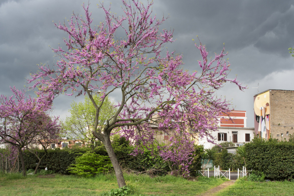 Italy, Rome, 02 April 2017Via Carlo della Rocca, Torpignattara neighborhood.Italy, Rome, 02 avril 2017Via Carlo della Rocca, quartier de Torpignattara.Massimo Siragusa / Agence VU