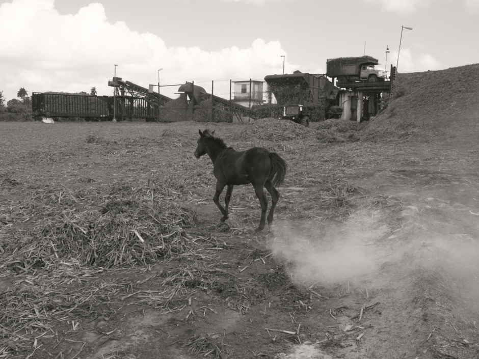 Cuba, January 17th 2017Horse galloping in sugar cane remains in front of a cane cleaning plant.Cuba, 17 janvier 2017Cheval galopant dans des restes de canne à sucre devant une centrale de nettoyage de la canne.Pierre-Elie de Pibrac / Agence VU