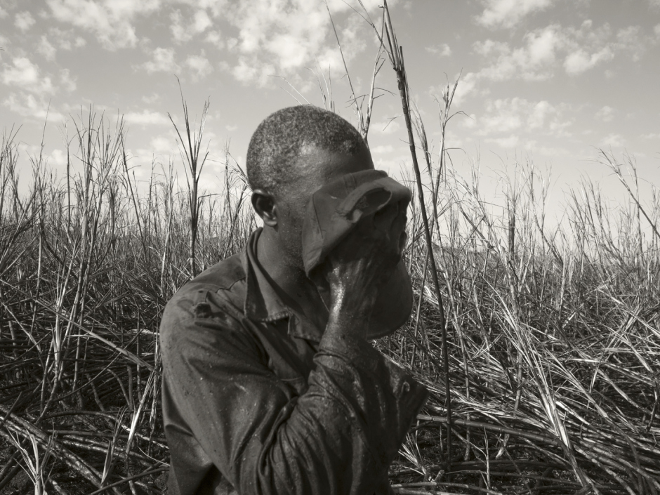 Cuba, March 2 2017One of the last Cuban Macheteros in a sugar cane field during the Zafra (cane harvest period). They work 6 months in a row for 20 euros a month every day from 5am to 5pm under 40 degrees.Cuba, 2 mars 2017Un des derniers Macheteros cubains dans un champ de canne à sucre pendant la Zafra (période de récolte de la canne). Ils travaillent 6 mois d’affilés pour 20 euros par mois tous les jours de 5h du matin à 17h sous 40 degrés.Pierre-Elie de Pibrac / Agence VU