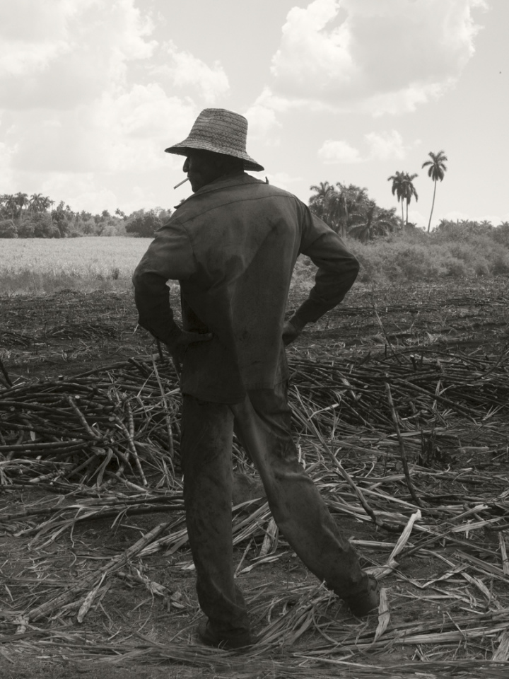 Cuba, March 2nd 2017Machetero smoking a cigarette in a sugar cane field just cut in the Madruga area.Cuba, 2 mars 2017Machetero fumant une cigarette dans un champ de canne à sucre tout juste coupé dans la région de Madruga.Pierre-Elie de Pibrac / Agence VU