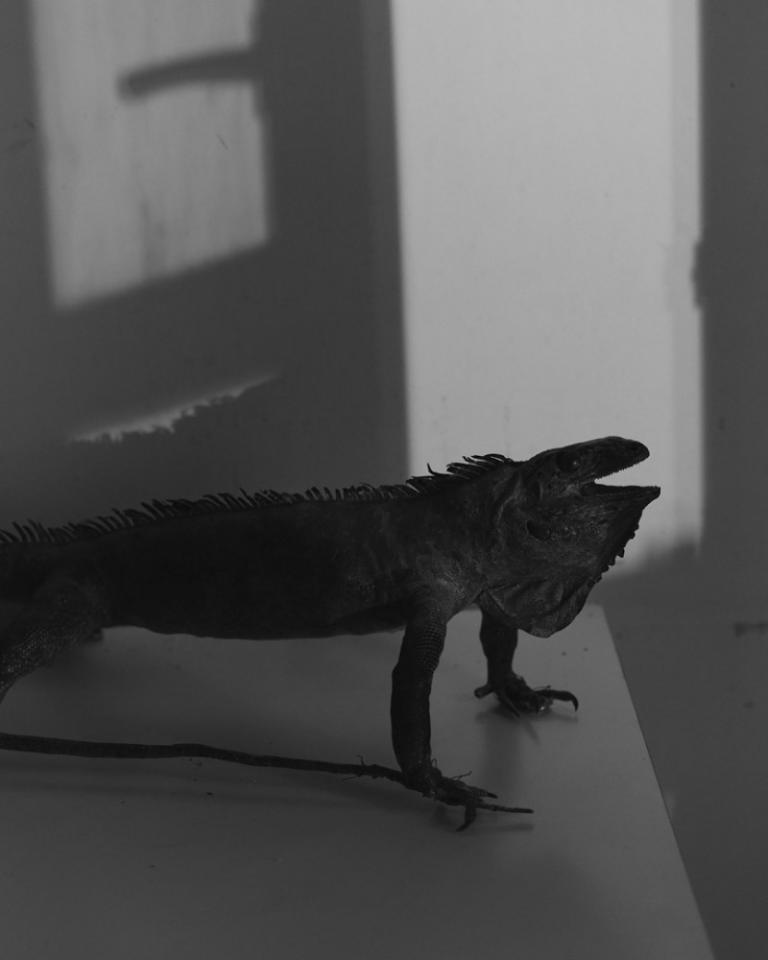 France, Paris, 22 March 2020 - From the series "120mm".