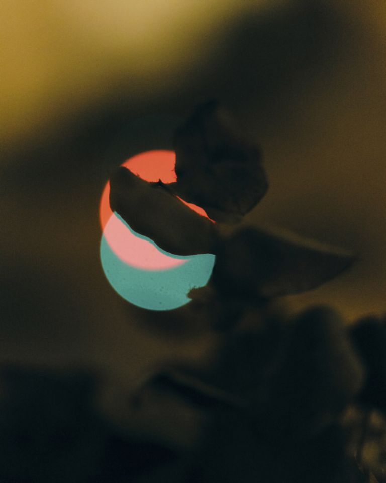 France, Paris, 06 April 2020 - From the series "120mm".