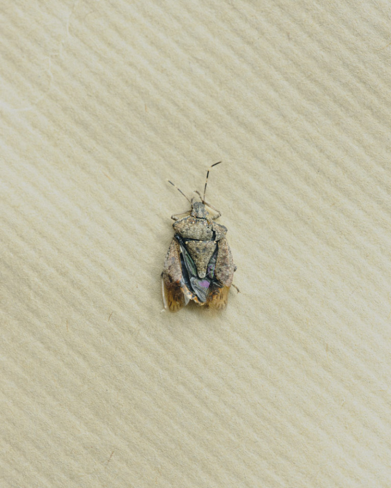 France, Paris, 17 April 2020 - From the series "120mm".