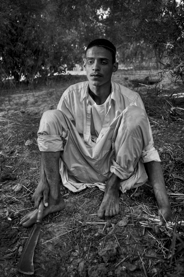 Egypt, Siwa, June 28th 2017 In Nawi's garden with his workers. Egypte, Siwa, 28 Juin 2017 Dans le jardin de Nawi avec ses ouvriers. Ferhat Bouda / Agence VU
