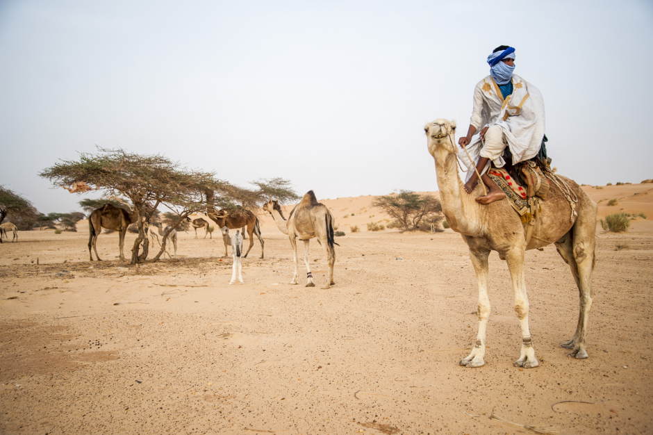 Mauritania, Adrar region, April 7th 2018 A camel driver in the dune of Arzoueiga, in the Adrar region. Mauritanie, Adrar, 7 avril 2018 Un chamelier dans la dune d'Arzoueiga, dans la région d'Adrar. Ferhat Bouda / Agence VU