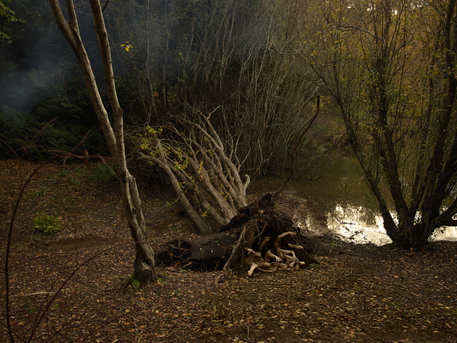 Australia, Adelaide, 2017-2018 Mount Lofty Botanic Garden. Fallen Willow (Salix) in Autumn, featuring dancers from the Australian Dance Theatre. Australie, Adélaïde, 2017-2018 Jardin botanique du mont Lofty. Saule tombé (Salix), en automne, mettant en scène des danseurs du Théâtre Australien de Danse. Tamara Dean / Agence VU