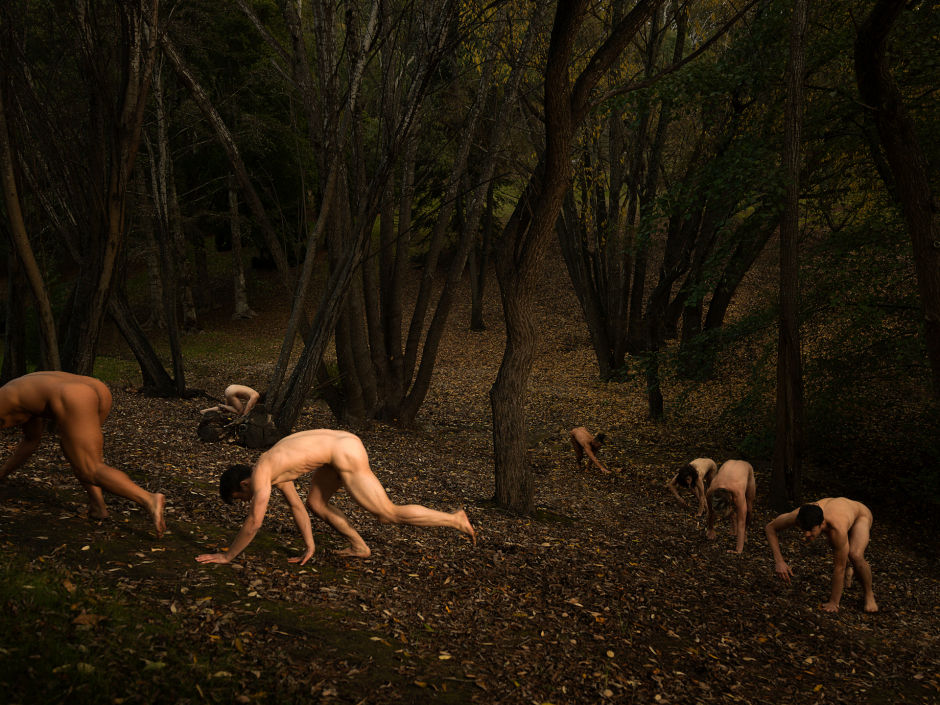 Australia, Adelaide, 2017-2018 Mount Lofty Botanic Garden. Passage, Willow forest (Salix) in Autumn, featuring dancers from the Australian Dance Theatre. Australie, Adélaïde, 2017-2018 Jardin botanique du mont Lofty. Passage, forêt de saules (Salix) en automne, mettant en scène des danseurs du Théâtre Australien de Danse. Tamara Dean / Agence VU