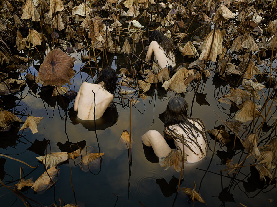 Australia, Adelaide, 2017-2018 Adelaide Botanic Garden. Sacred Lotus (Nelumbo nucifera) in Autumn. Australie, Adélaïde, 2017-2018 Jardin botanique d'Adélaïde. Lotus sacré (Nelumbo nucifera) en automne. Tamara Dean / Agence VU
