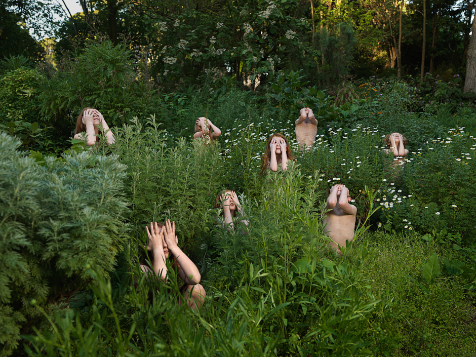 Australia, Adelaide, 2017-2018 Adelaide Botanic Garden. Wormwood (Artemisia absinthium) in Spring. Australie, Adélaïde, 2017-2018 Jardin botanique d'Adélaïde. Absinthe (Artemisa absinthium) au printemps. Tamara Dean / Agence VU