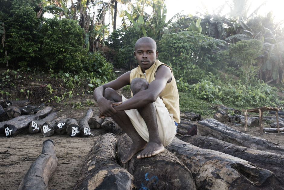 Madagascar, Andanalavahil, 22 May 2014On the Iagnobé riverbank, near the village of Andanalavahil, a man is sitting on rosewood trunks illegally cut in the Masoala National Park.Madagascar, Andanalavahil, 22 mai 2014Sur la rive de la rivière Iagnobé près du village d'Andanalavahil, un homme est assis sur des troncs de bois de rose coupés illégalement dans le parc national de Masoala.Michael Zumstein / Agence VU