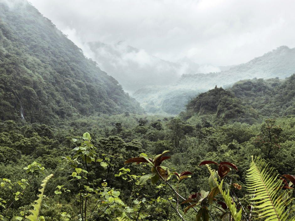 French Polynesia, Tahiti, 11 December 2010From the series "Second Nature".PolynÈsie FranÁaise, Tahiti, 11 dÈcembre 2010Issue de la sÈrie "Second Nature".Guy Tillim / Agence VU
