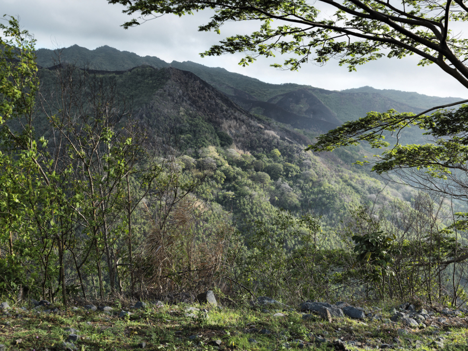 French Polynesia, Nuku Hiva, 27 January 2011From the series "Second Nature".Taipivai Bay.PolynÈsie FranÁaise, Nuku Hiva, 27 janvier 2011Issue de la sÈrie "Second Nature".Baie de Taipivai.Guy Tillim / Agence VU