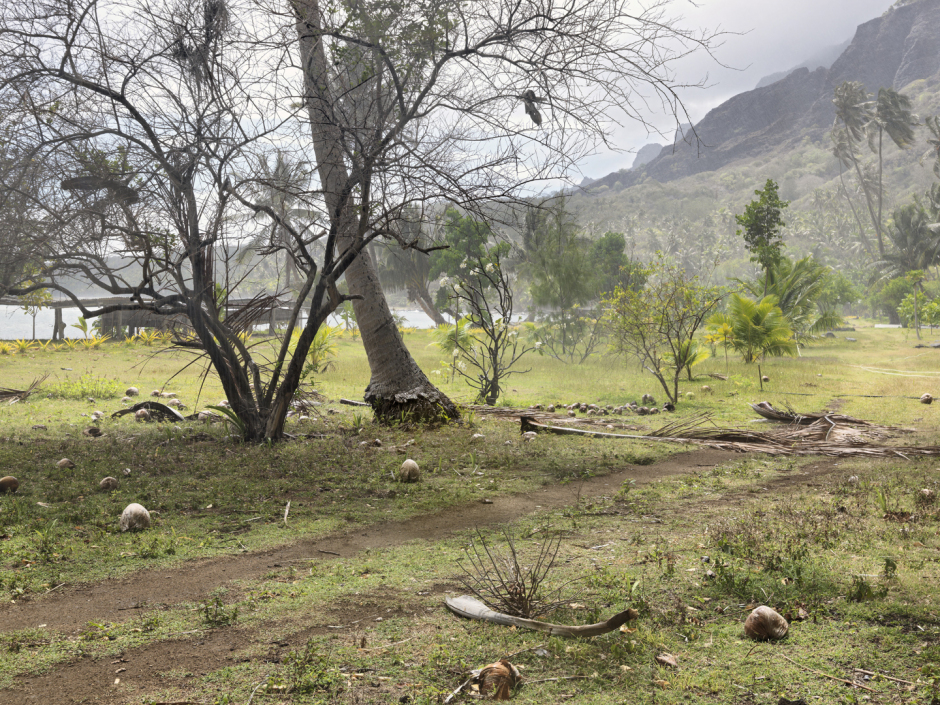 French Polynesia, Nuku Hiva, 27 January 2011From the series "Second Nature".Anaho Bay.PolynÈsie FranÁaise, Nuku Hiva, 27 janvier 2011Issue de la sÈrie "Second Nature".Baie d'Anaho.Guy Tillim / Agence VU