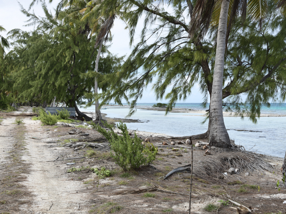 French Polynesia, Tuamotus, Tikehau Atoll, 15 February 2011From the series "Second Nature".PolynÈsie FranÁaise, Archipel des Tuamotu, Atoll de Tikehau, 15 fÈvrier 2011Issue de la sÈrie "Second Nature".Guy Tillim / Agence VU