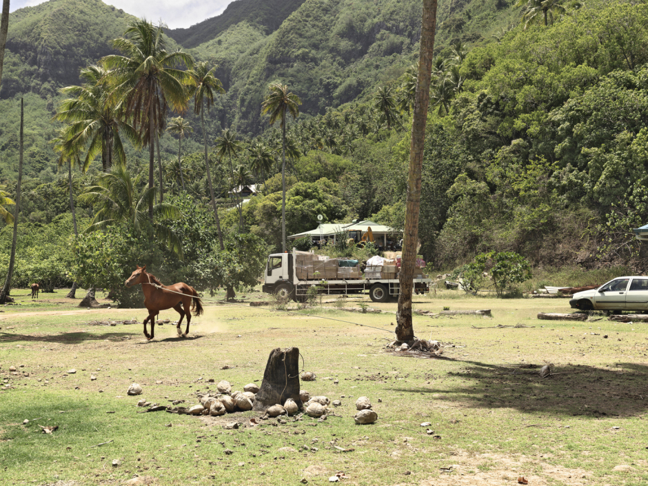 French Polynesia, Moorea, 24 December 2010From the series "Second Nature".PolynÈsie FranÁaise, Moorea, 24 dÈcembre 2010Issue de la sÈrie "Second Nature".Guy Tillim / Agence VU
