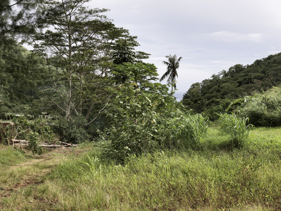 French Polynesia, Moorea, Haapiti, 30 December 2010From the series "Second Nature".PolynÈsie FranÁaise, Moorea, Haapiti, 30 dÈcembre 2010Issue de la sÈrie "Second Nature".Guy Tillim / Agence VU