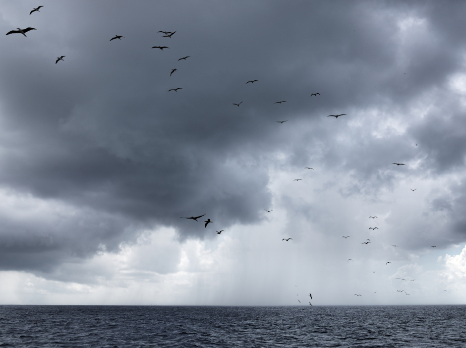 French Polynesia, Near Tikehau Atoll, 13 February 2011From the series "Second Nature".PolynÈsie FranÁaise, PrËs de l'atoll Tikehau, 13 fÈvrier 2011Issue de la sÈrie "Second Nature".Guy Tillim / Agence VU