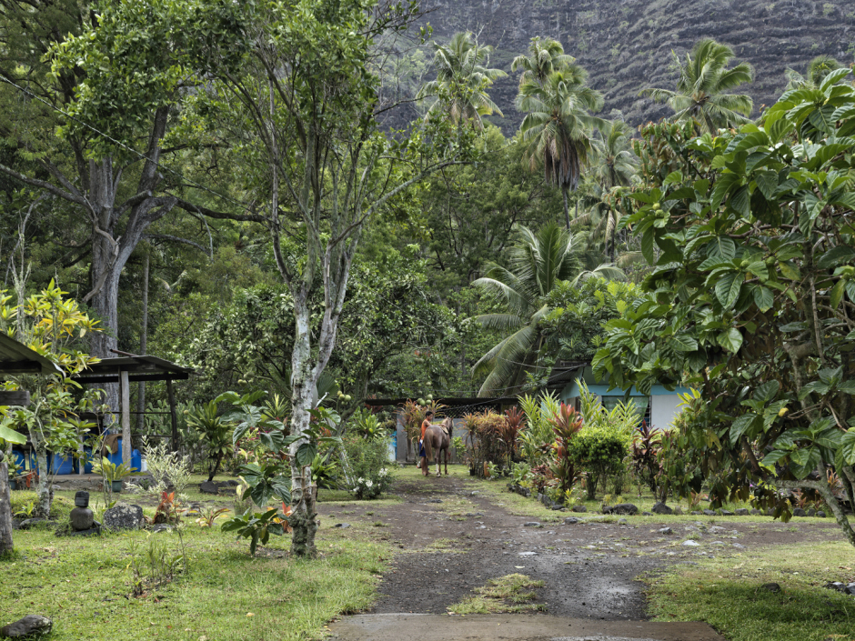 French Polynesia, Hiva Oa, 19 January 2011From the series "Second Nature".PolynÈsie FranÁaise, Hiva Oa, 19 janvier 2011Issue de la sÈrie "Second Nature".Guy Tillim / Agence VU