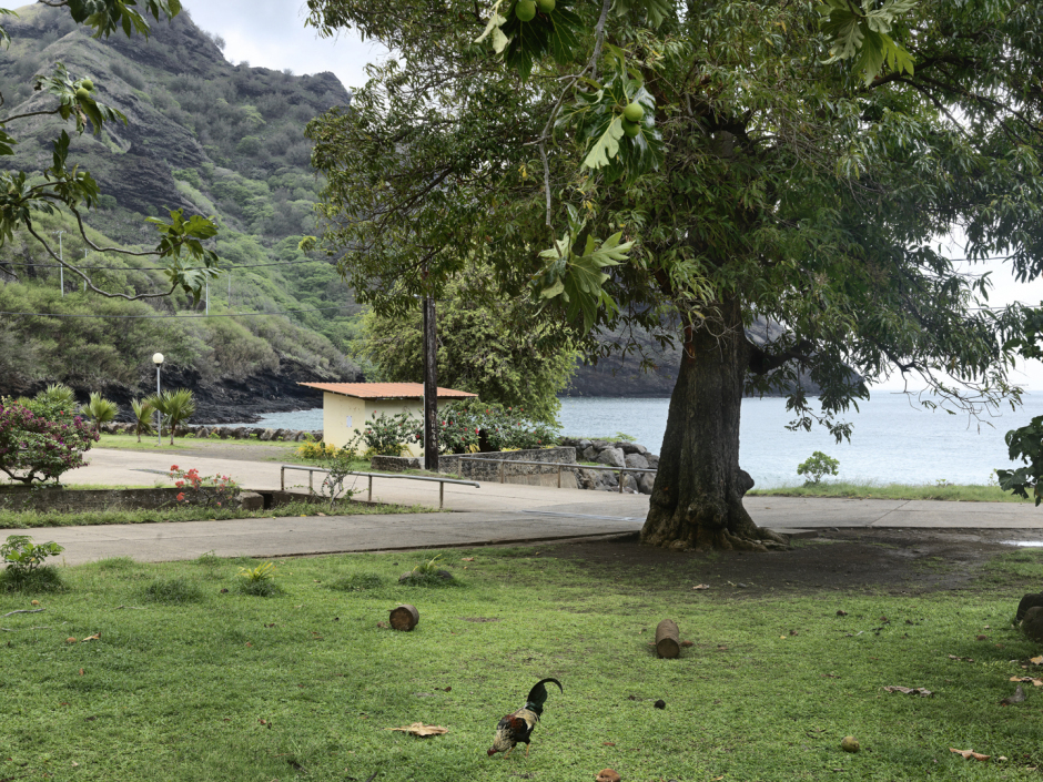 French Polynesia, Nuku Hiva, 23 January 2011From the series "Second Nature".PolynÈsie FranÁaise, Nuku Hiva, 23 janvier 2011Issue de la sÈrie "Second Nature".Guy Tillim / Agence VU