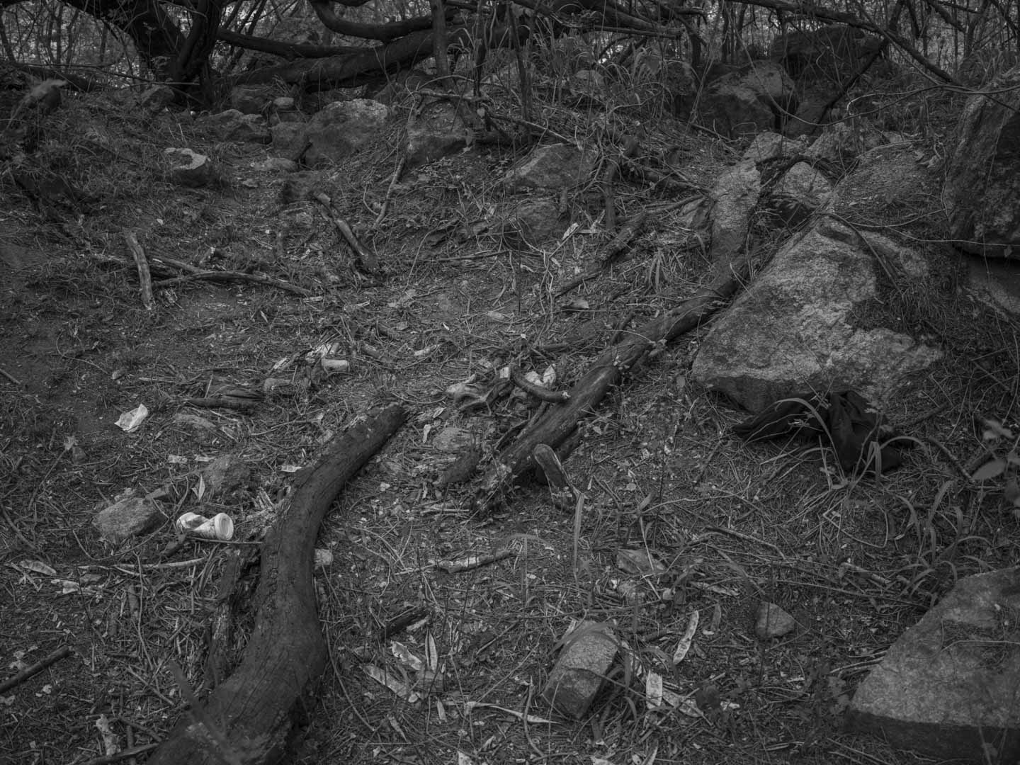 Brazil, Rio de Janeiro, 29 October 2025 - Traces of blood and weapons used in combat with security forces on the dirt floor in the middle of a forest separating the Penha Complex from the Alemão Complex after the deadliest police operation in the history of Rio de Janeiro, where at least 126 people were killed.