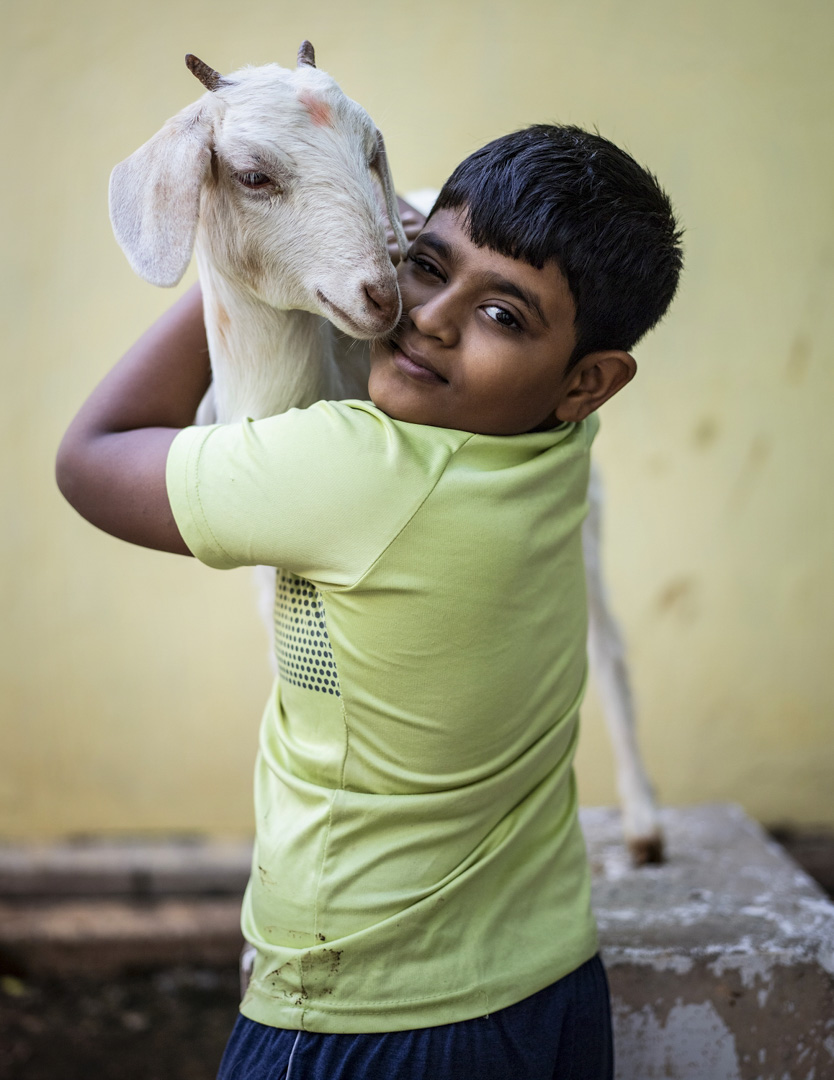 India, Tamil Nadu, October 2024 - Caged tiger N°14