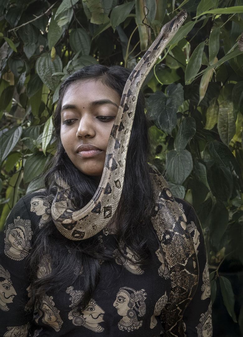 India, Kerala, 05 October 2025 - Caged tiger N°17