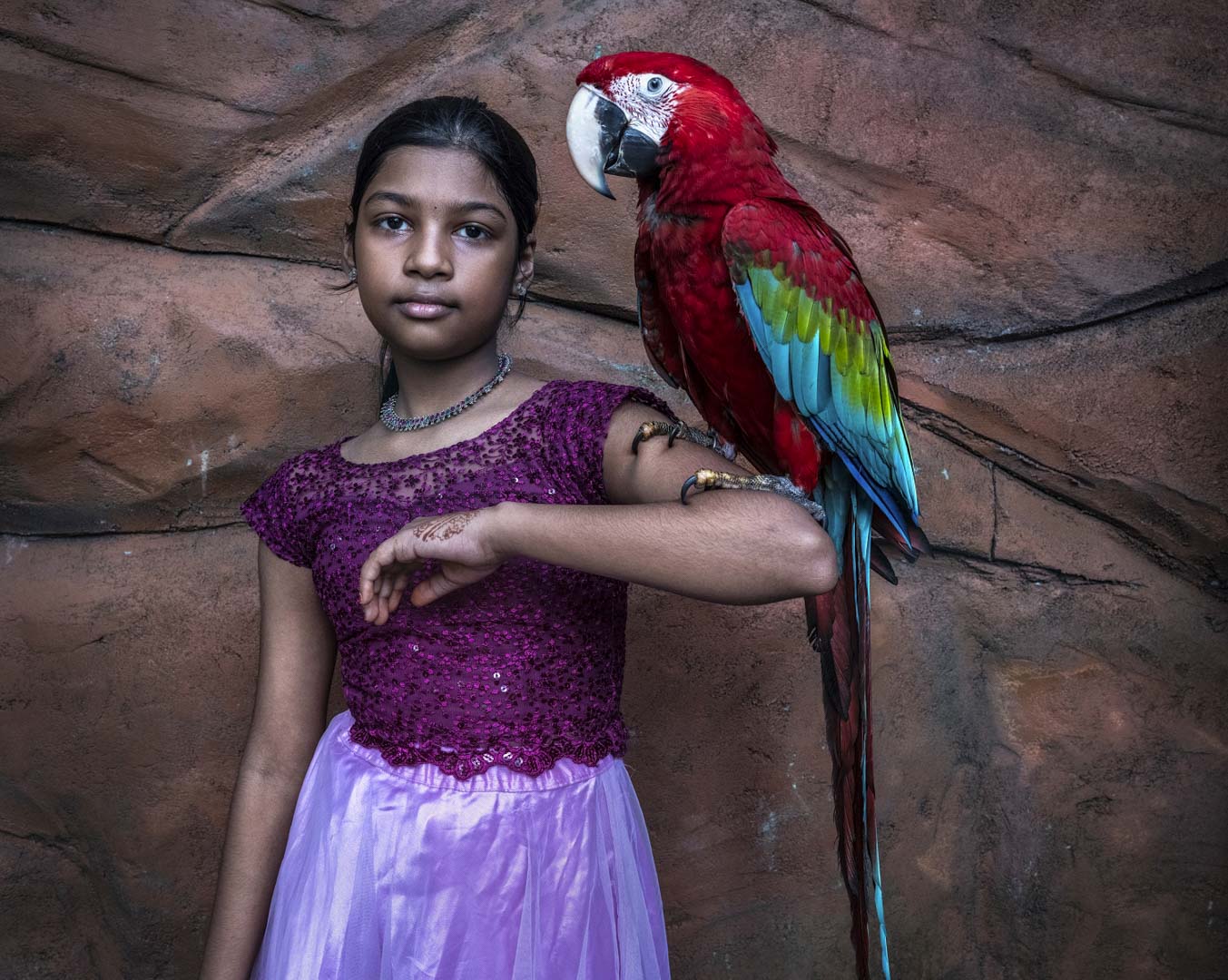 India, Kerala, 05 October 2025 - Caged tiger N°24